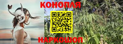 МДПВ Волгодонск